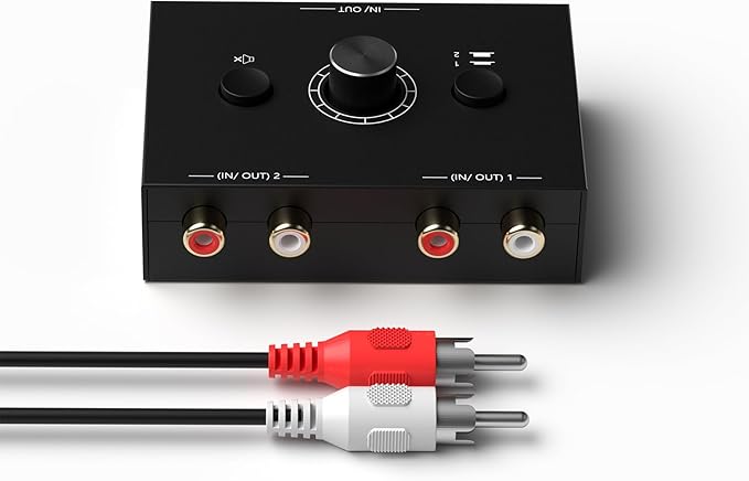 Dingsun Bi-Directional 2-Way RCA Stereo Audio Switch Audio Signal Source by Dingsun