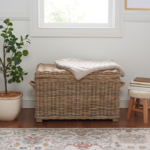 safavieh salim trunk rattan storage cabinet, 18.7" coastal shown in use