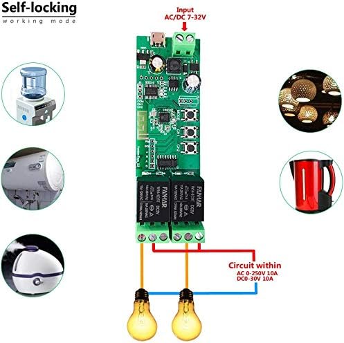 Newgoal 2-Channel WiFi Smart Switch Relay Module, TUYA/Smart Life App - Image 5