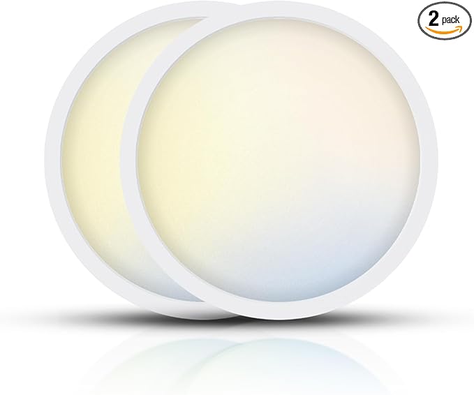TOPELER 12 Inch Flush Mount Ceiling Light by TOPELER