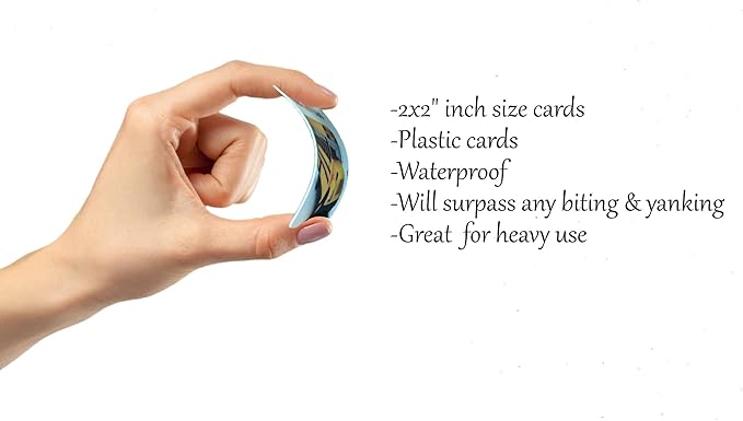 Smile4Autism Small 2"x2" Loose Visual Picture Cards, Receptive and Expressive - Image 2