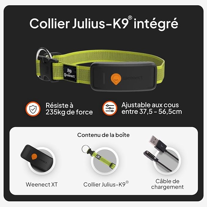 Weenect Dog XT - New GPS Collar - Image 7