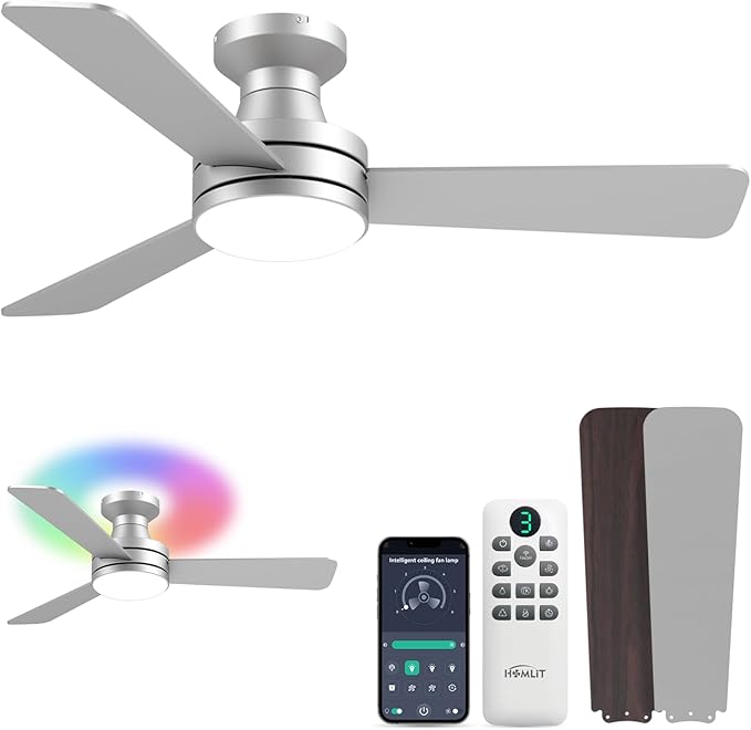 Homlit 42 inch RGB Ceiling Fan by Homlit