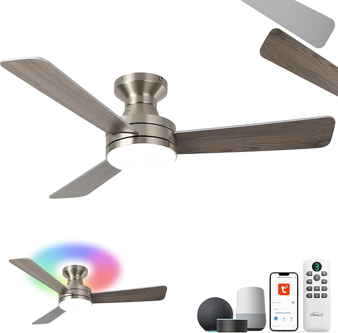 Homlit 42" RGB Ceiling Fan by Homlit