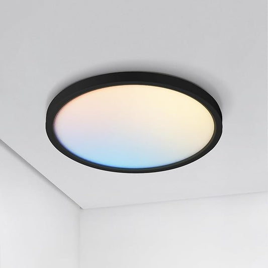 ASD LED 9" Round Flush Mount Ceiling Light Fixture, Low Profile Surface by ASDLightingCorporation