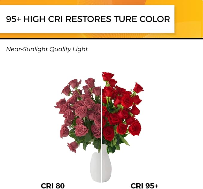 Hizashi Dimmable Edison Bulbs 60 Watt LED, E26 Bulb 2700K Warm White ST19 - Image 5