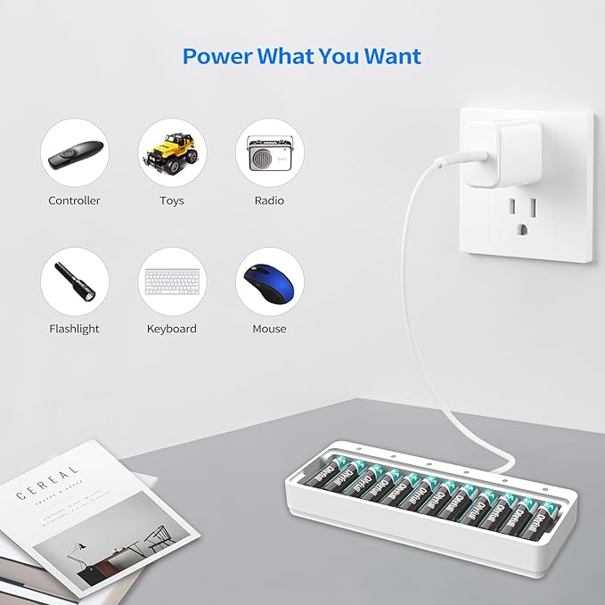 Dlyfull 12 Bay AA AAA Battery Charger, USB and Type-C Selectable High-Speeding - Image 6