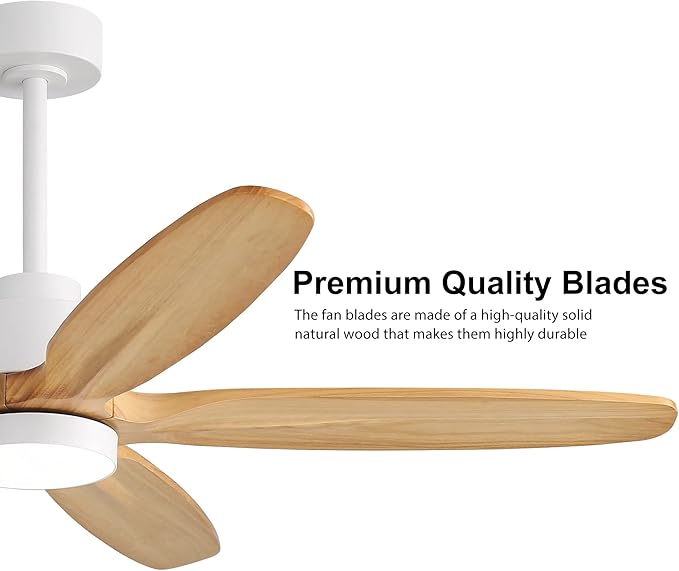WINGBO 54" Ceiling Fan with Light - Image 5