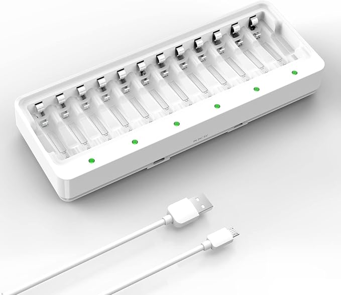 Dlyfull 12 Bay AA AAA Battery Charger, USB and Type-C Selectable High-Speeding by Dlyfull