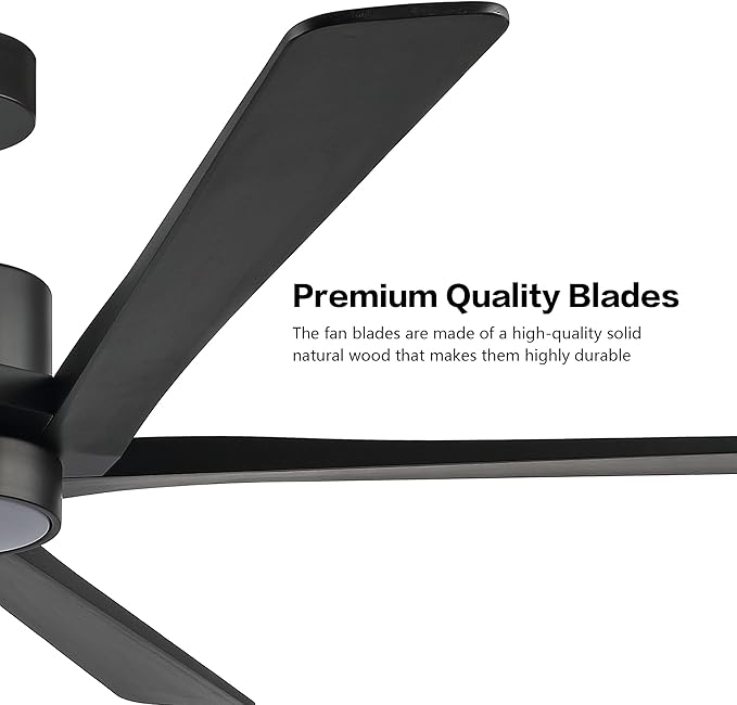 WINGBO 64" DC Ceiling Fan with Lights, 5 Carved Solid Wood Blades, 6-Speed - Image 6