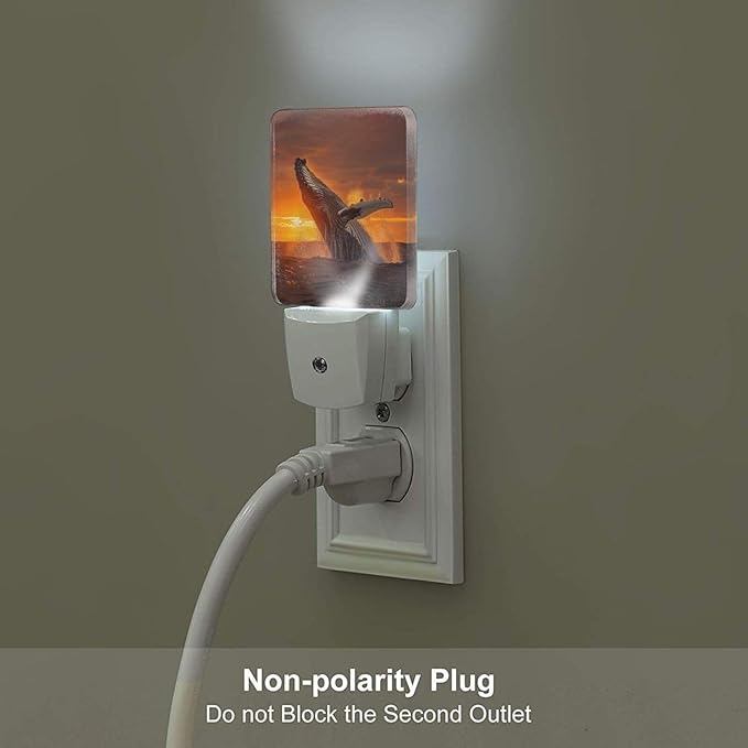 FSHVQKD Sunset Humpback Whale Night Light, Plug Into Wall - Image 5