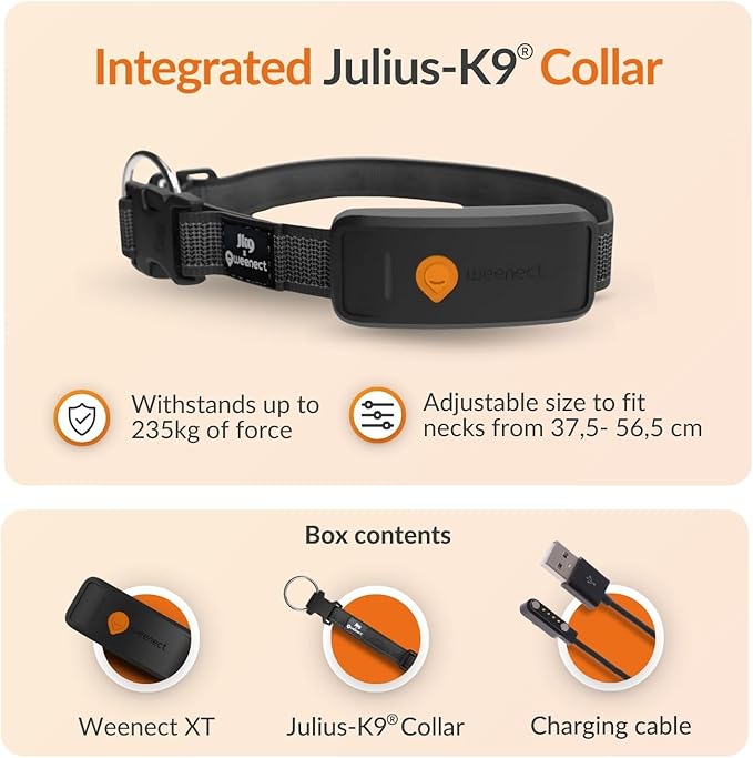 Weenect Dog XT - New GPS Collar - Image 7