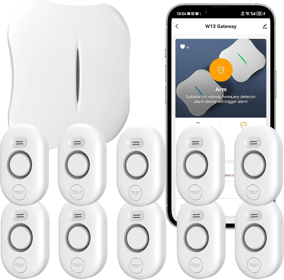 WiFi Water Leak Detector for Home