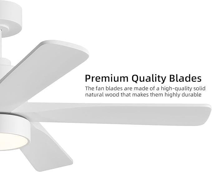WINGBO 48 Inch DC Ceiling Fan - Image 8