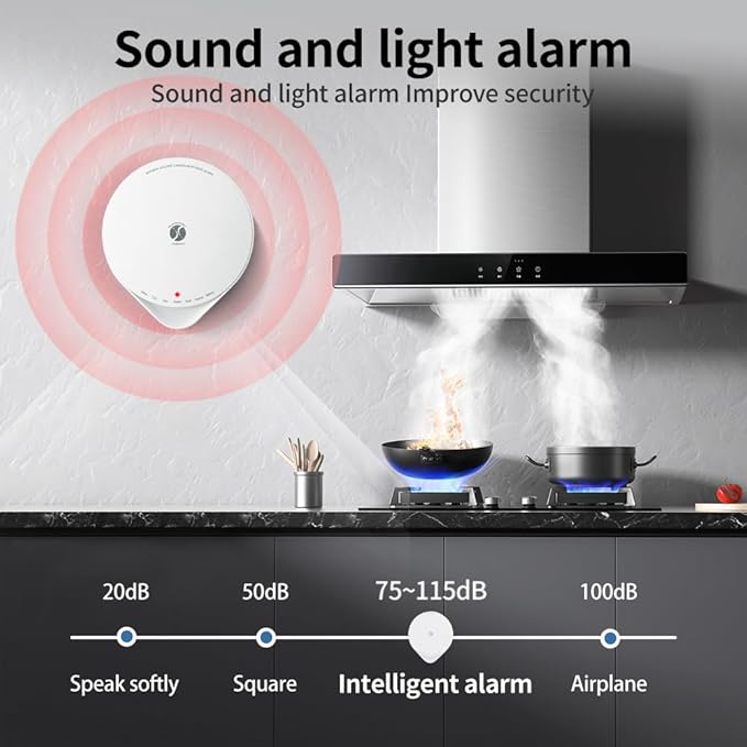 4-in-1 Carbon Monoxide Detector, Wireless Battery CO and Gas Alarm - Image 5