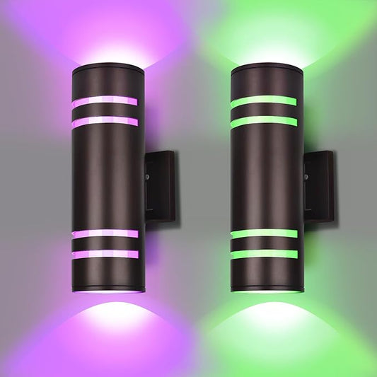 rosykite Smart Outdoor Wall Lights Color Changing 2 Pack, RGB+2700K-6500K by RosykiteBuyNow