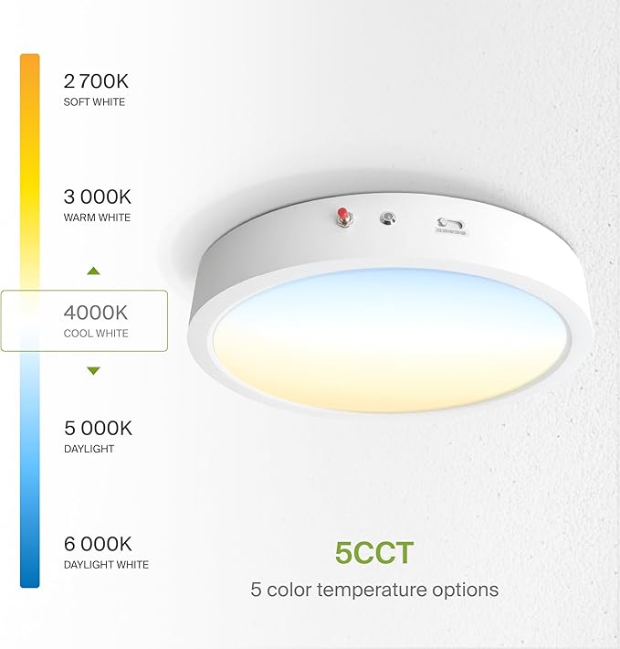 ASD LED 12" Round Flush Mount Ceiling Light Fixture, Low Profile Surface - Image 4