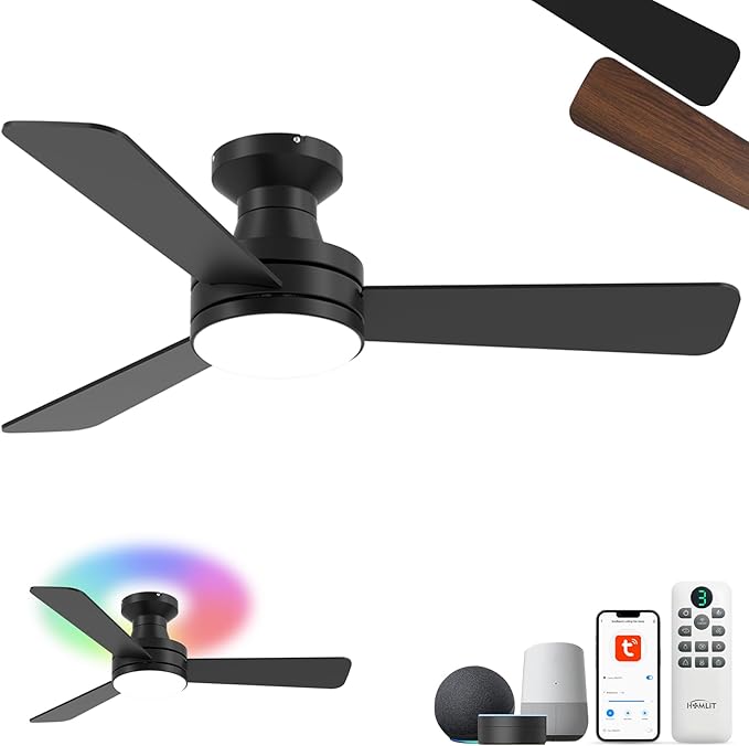 Homlit 42" RGB Ceiling Fan by Homlit