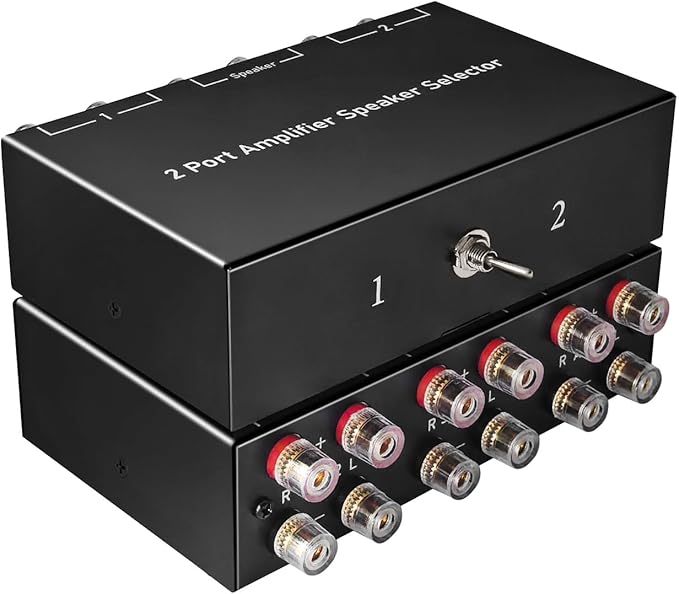 2-Way Audio Switcher Can Support Two Amplifiers, One Audio or One Amplifier by Dingsun
