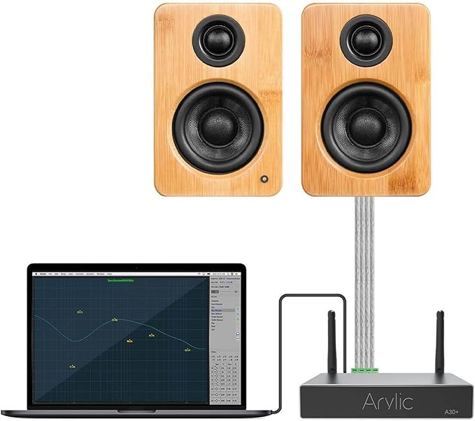 Arylic Stereo WiFi and Bluetooth 5.0, 2-Channel Class D Wireless Mini Home - Image 4
