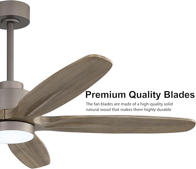 WINGBO 54" Ceiling Fan with Light - Image 5