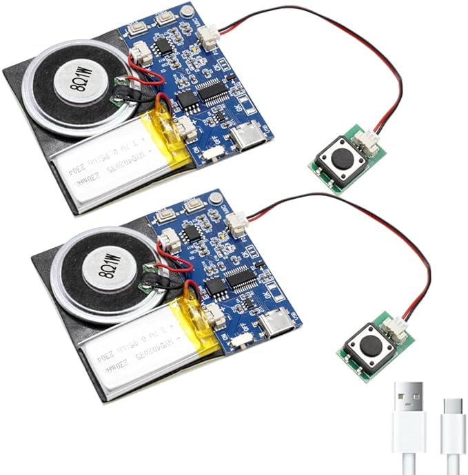 XLW Module - 16MB Push Button Activated Sound Module by XLW