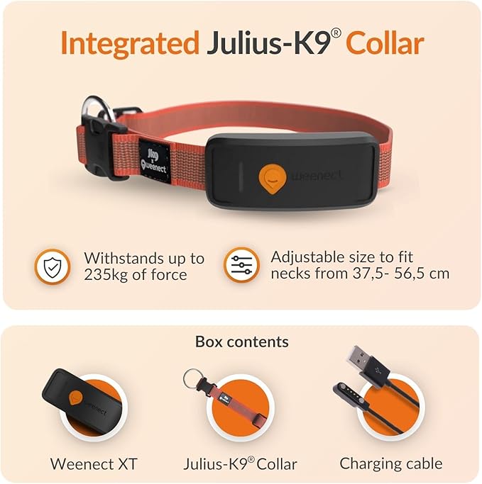 Weenect Dog XT - New GPS Collar - Image 7