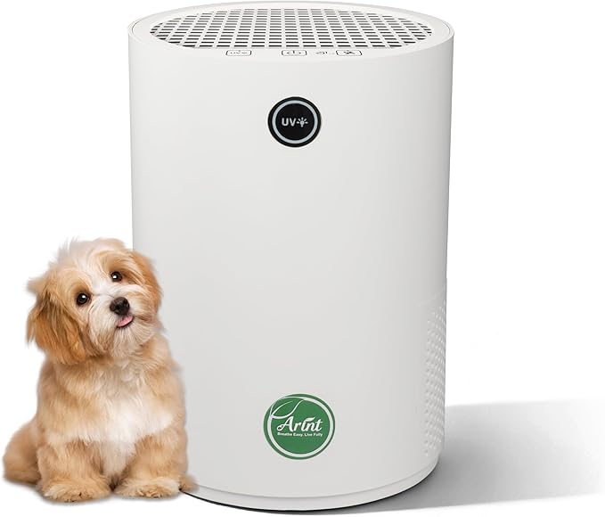 Arint Air Purifiers for Bedroom, H13 True HEPA Air Purifier by Arint