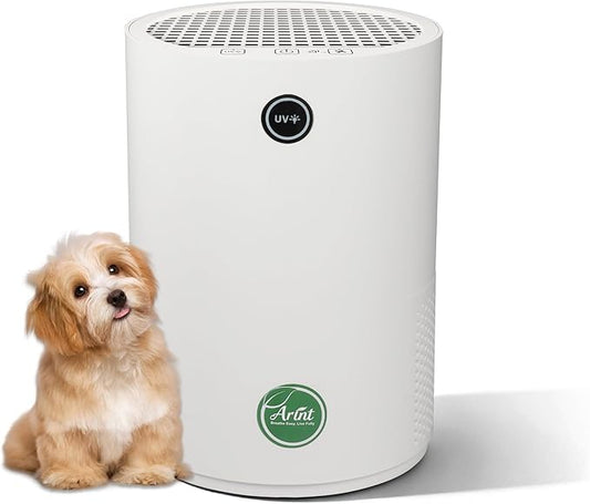 Arint Air Purifiers for Bedroom, H13 True HEPA Air Purifier by Arint