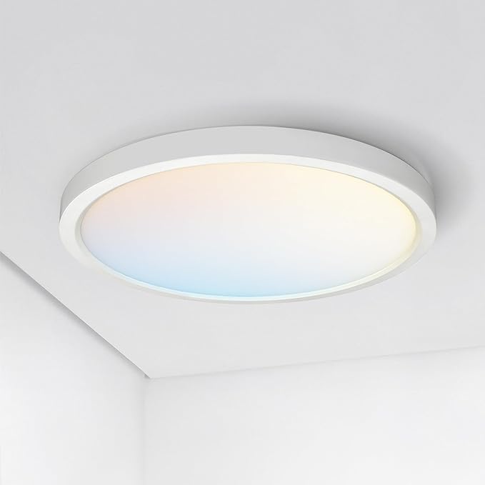 ASD LED 15" Round Flush Mount Ceiling Light Fixture, Low Profile Surface by ASDLightingCorporation