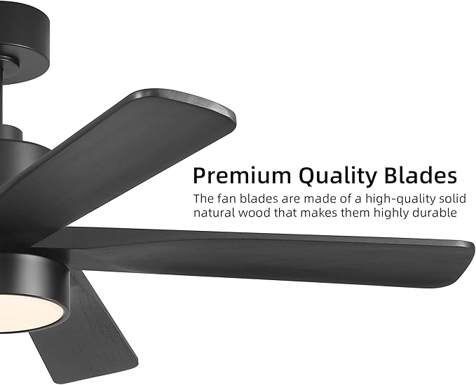 WINGBO 48 Inch DC Ceiling Fan - Image 8