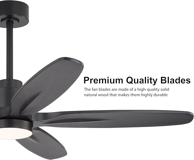 WINGBO 54" Ceiling Fan with Light - Image 5