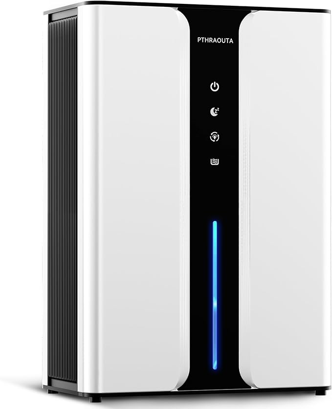 PTHRAOUTA Home Dehumidifier by PTHRAOUTA