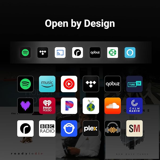 WiiM Sound Smart Speaker with 1.8″ Touch Display, Hi‑Res 24‑bit/192 kHz - Image 5