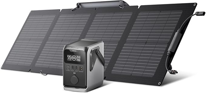 EF ECOFLOW TRAIL 300 DC Solar Generator by EFECOFLOW