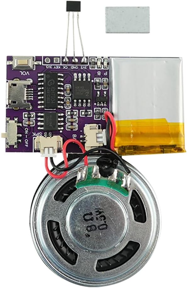 Voice Module, MP3 Music Sound Chips, 16MB Sound Module by JRGKJCP