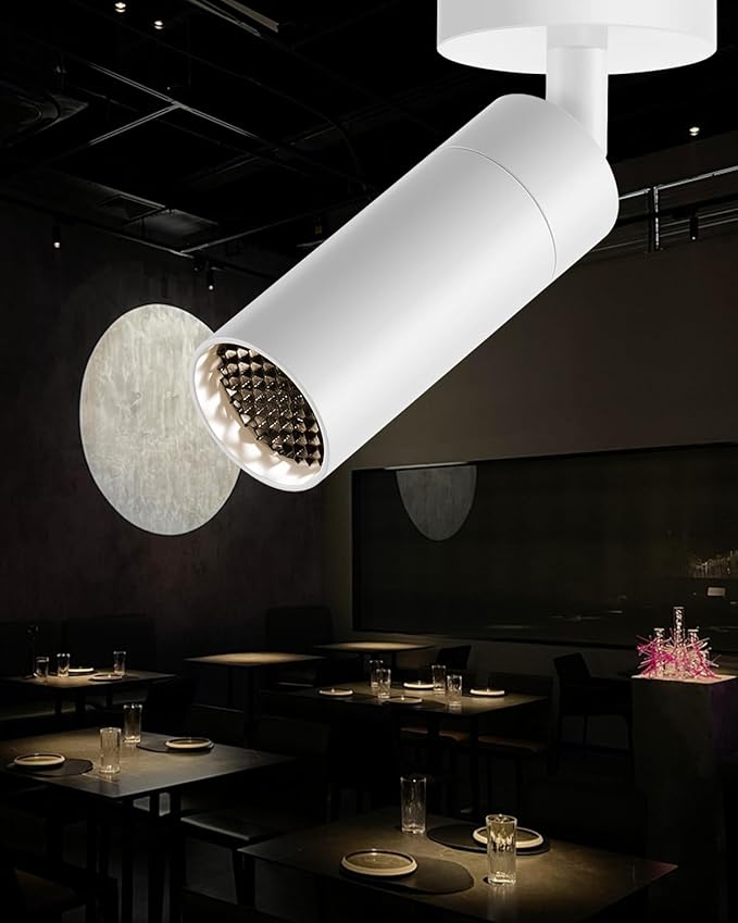 Gpaillumic Led Modern Directional Spotlight, Zoomable Monopoint Ceiling Spot by Gpaillumic