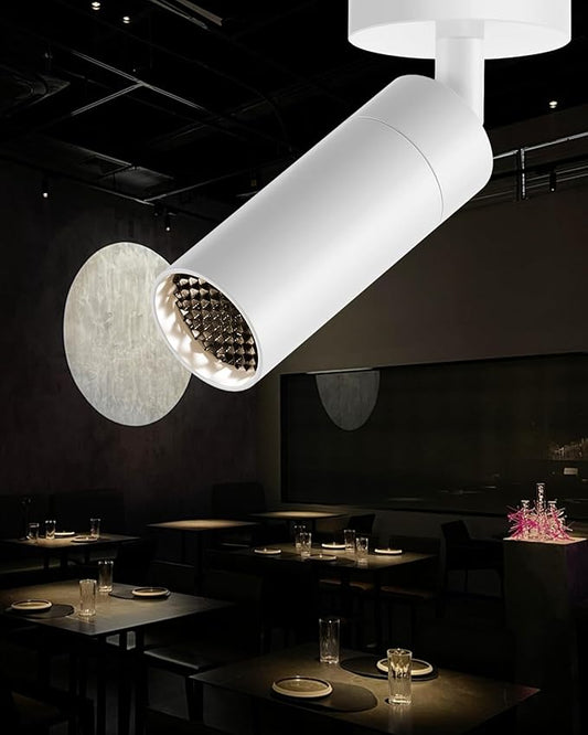 Gpaillumic Led Modern Directional Spotlight, Zoomable Monopoint Ceiling Spot by Gpaillumic