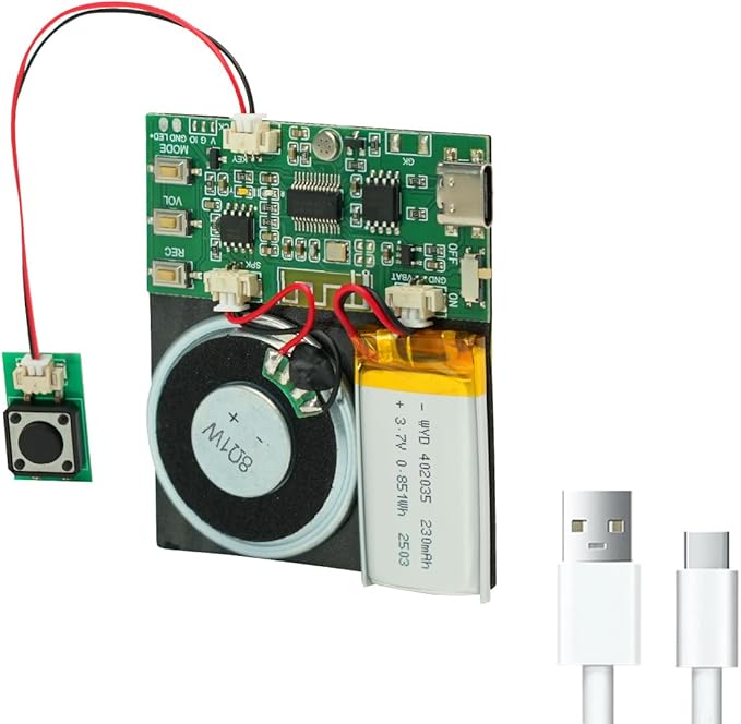 Sound Module, Support Bluetooth & MIC Recording Audio, 8MB Voice Chips by XLW