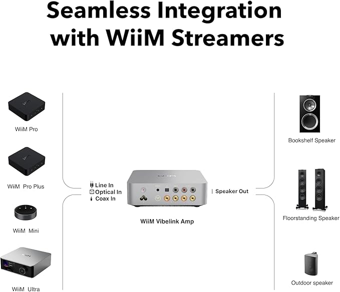 WiiM Vibelink Amp | 100W Power Amplifier - Image 4