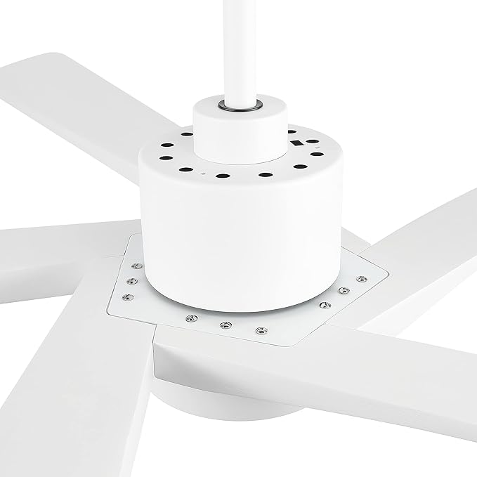 WINGBO 64" DC Ceiling Fan with Lights and Remote Control, 5 Carved Wood Blades - Image 9