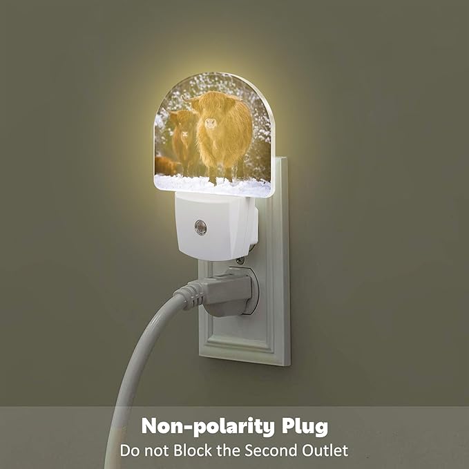 sndheke Highland Cow Night Light - Image 4