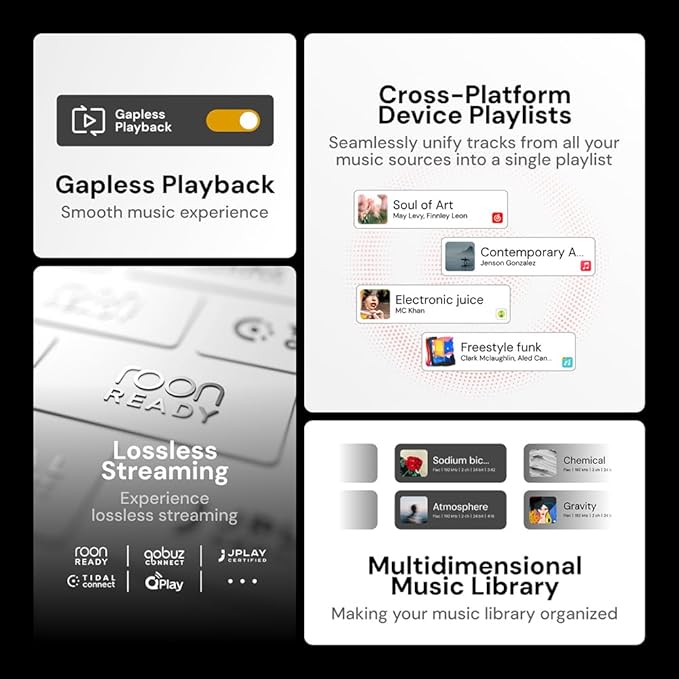 Eversolo T8 Music Streamer Transport - Image 6