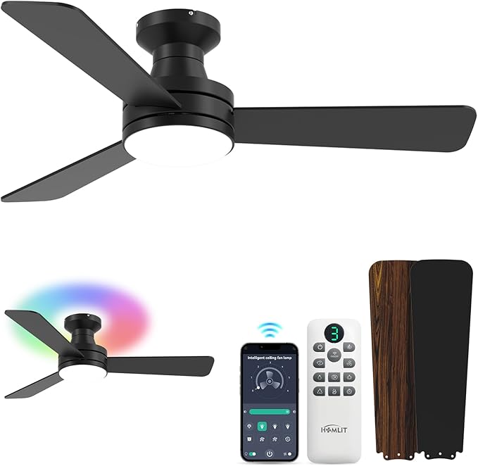 Homlit 42 inch RGB Ceiling Fan by Homlit
