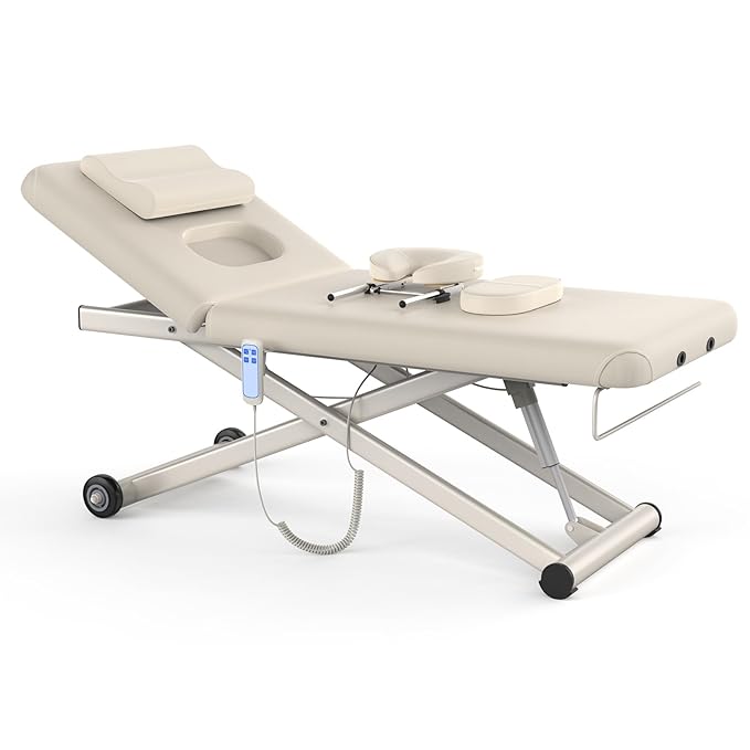 Heavy Duty Electric Massage Table, Electric Lift and Electric Backrest 2 Motor by Brandpouseayar