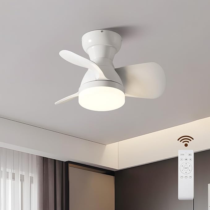 Myleoron 20 Inch Ceiling Fan by Myleoron