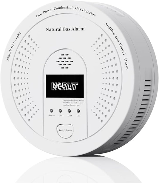 Explosion-Proof Natural Gas Detector Alarm by WGRLIT