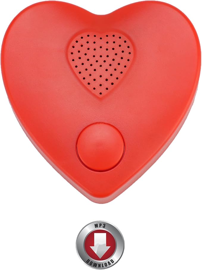 XLW 16min Voice Recorder, Personal Voice Message Recordable Sound Recorder by XLW