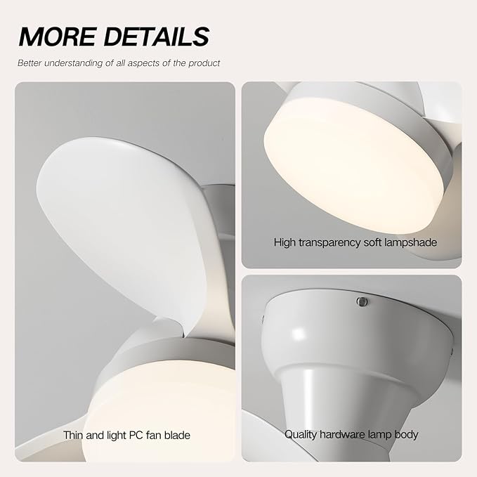 Myleoron 20 Inch Ceiling Fan - Image 7