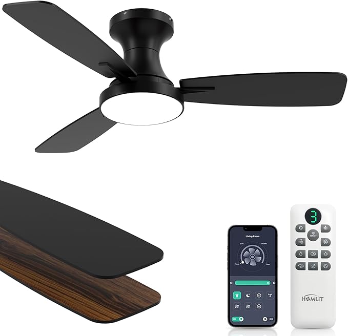 Homlit 42 inch Smart Ceiling Fan by Homlit